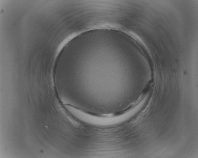 X0000076451230200610271816