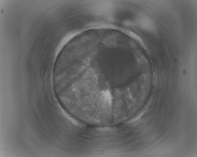 X0000076451231200610271816