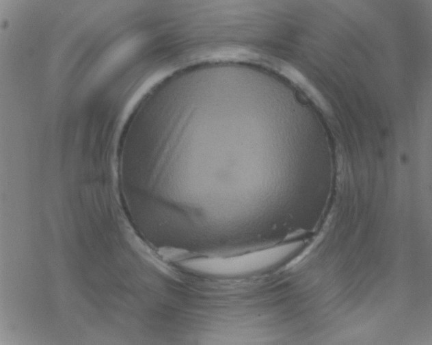 X0000076451232200610271816