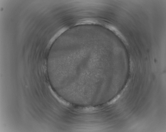 X0000076451233200610271816