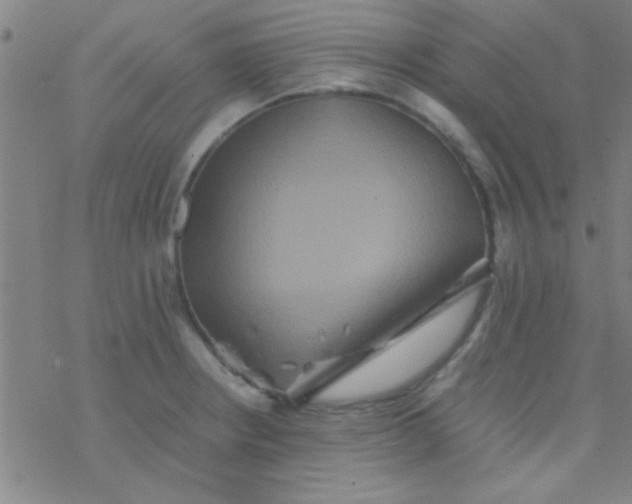 X0000076451234200610271816