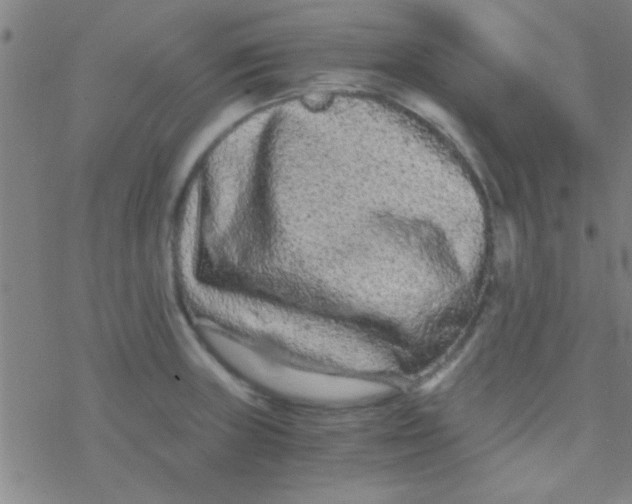 X0000076451235200610271816