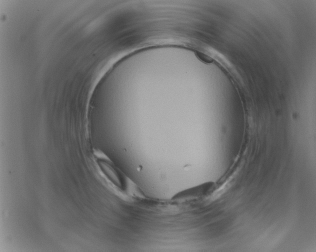 X0000076451236200610271816