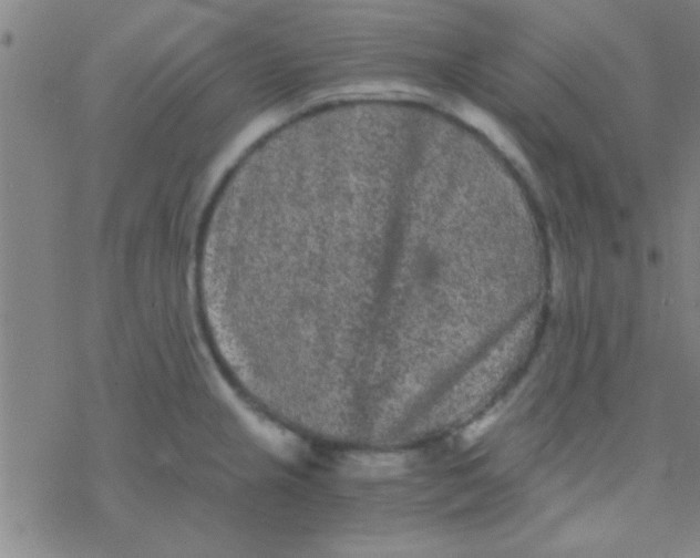 X0000076451237200610271816