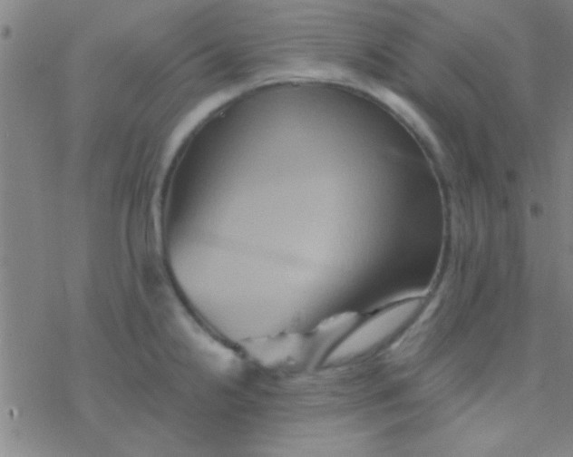 X0000076451238200610271816