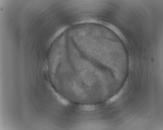 X0000076451241200610271816