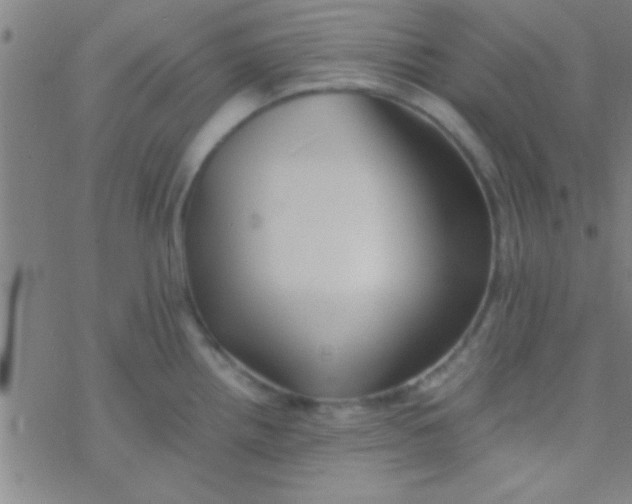 X0000076451242200610271816