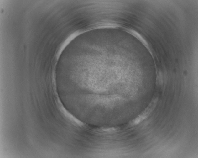 X0000076451243200610271816