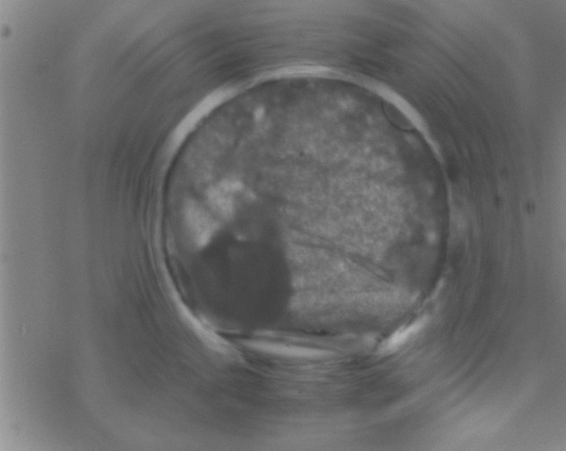 X0000076451245200610271816