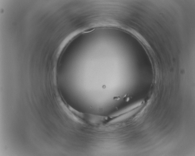 X0000076451246200610271816