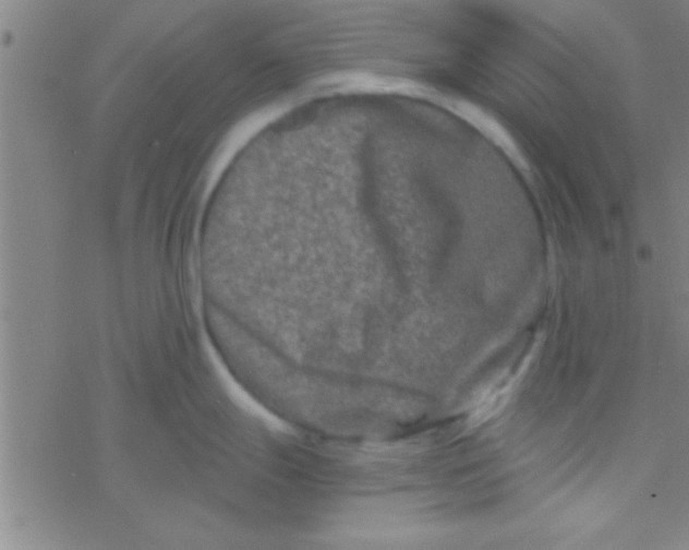 X0000076451247200610271816