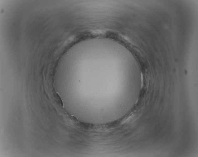 X0000076451249200610271815