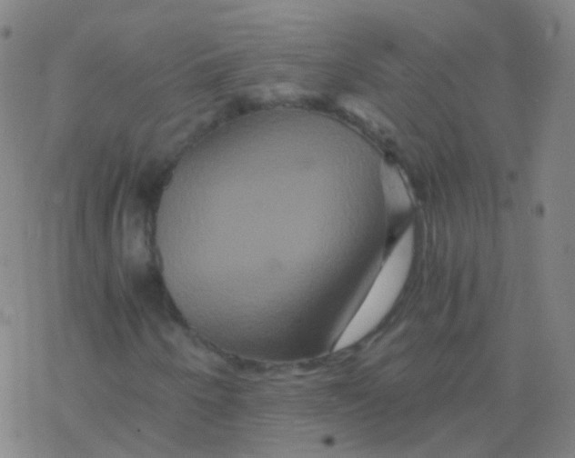 X0000076451250200610271815