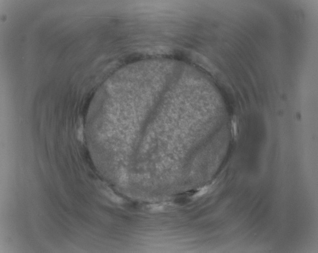 X0000076451251200610271815