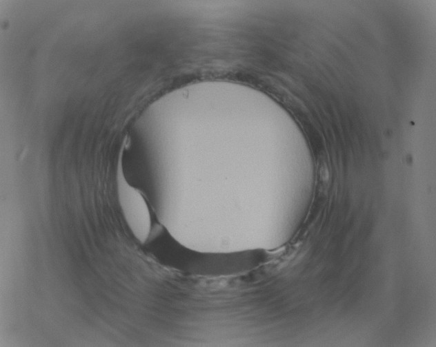 X0000076451252200610271815