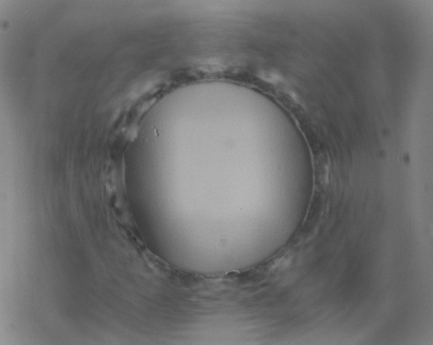 X0000076451253200610271815