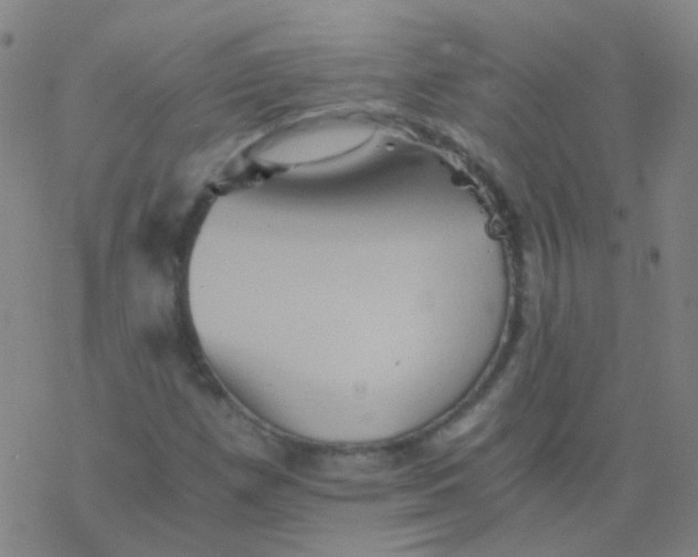 X0000076451257200610271815