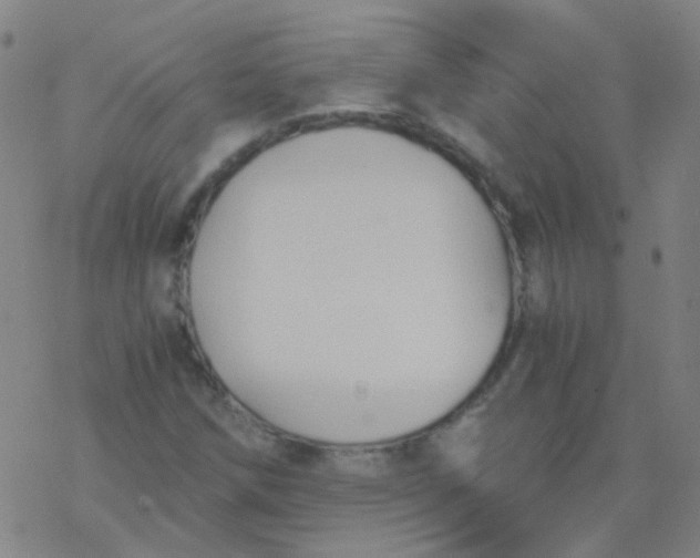 X0000076451258200610271815