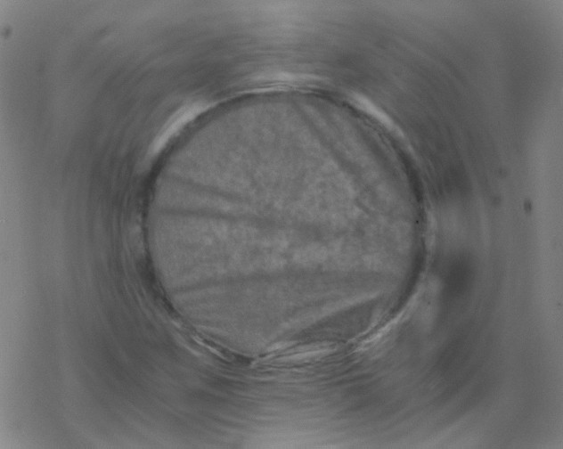 X0000076451259200610271815