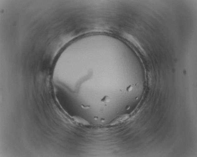 X0000076451260200610271815