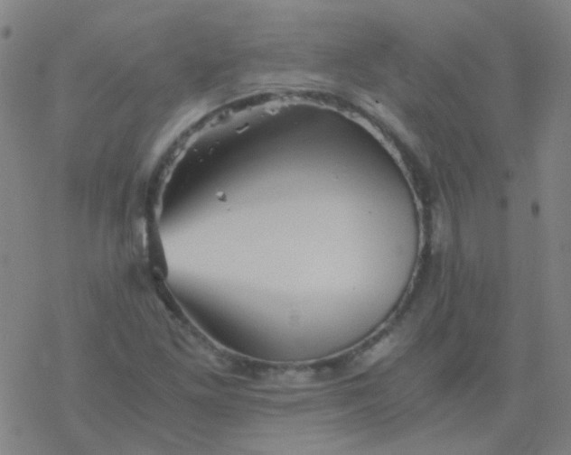 X0000076451261200610271815