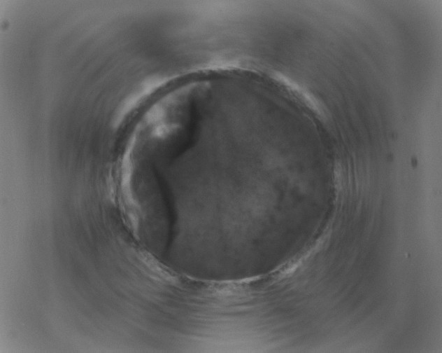 X0000076451262200610271815