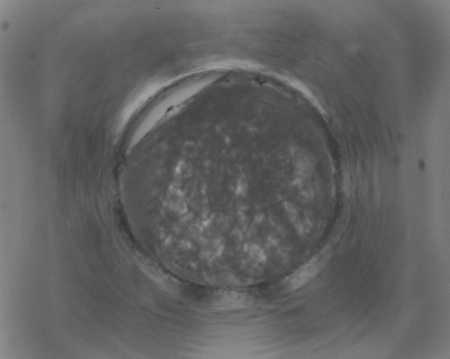 X0000076451263200610271815