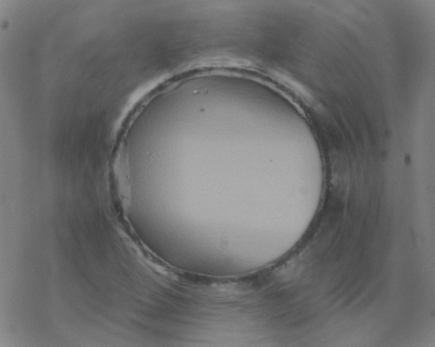 X0000076451264200610271815