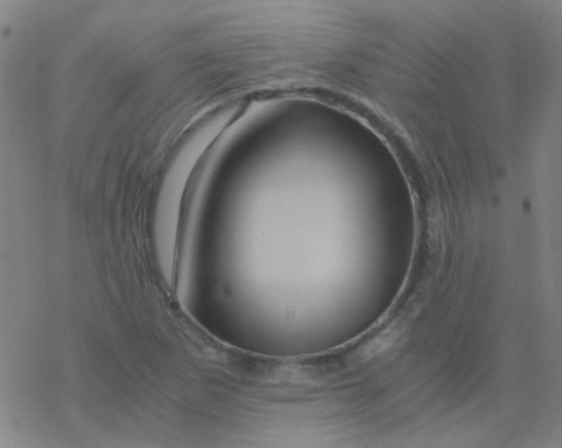 X0000076451265200610271815