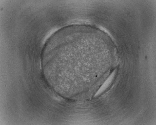 X0000076451267200610271815