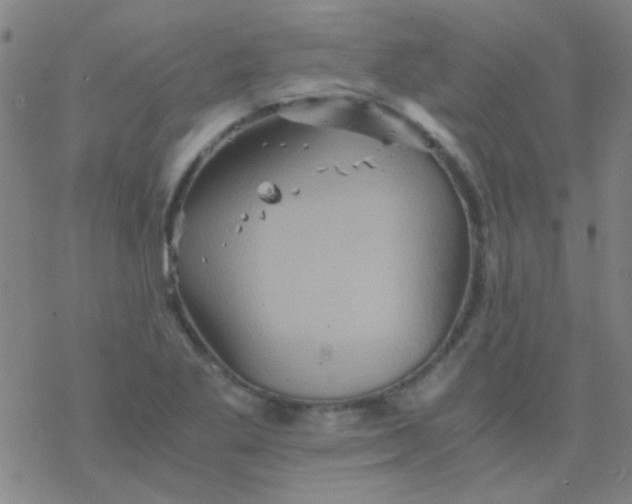 X0000076451269200610271815