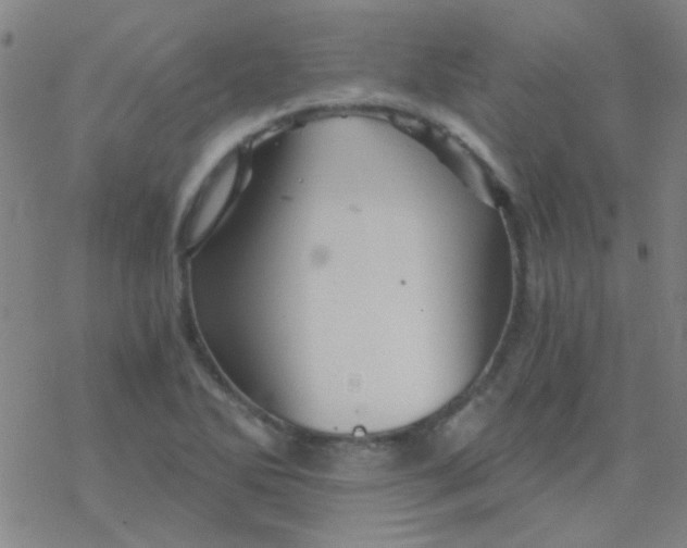 X0000076451270200610271815