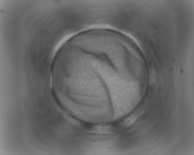 X0000076451271200610271815