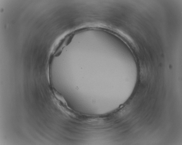 X0000076451272200610271815