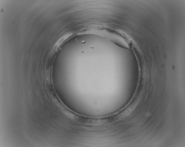 X0000076451273200610271815