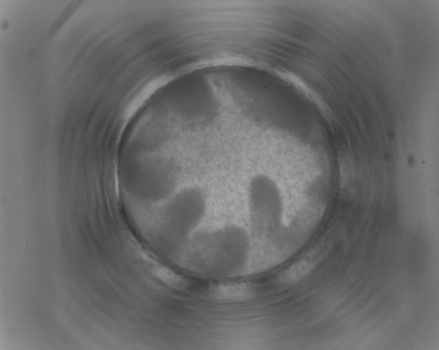 X0000076451274200610271815