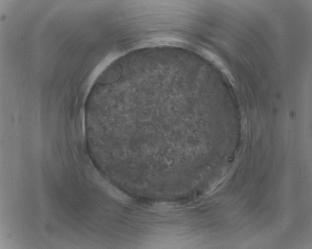 X0000076451275200610271815