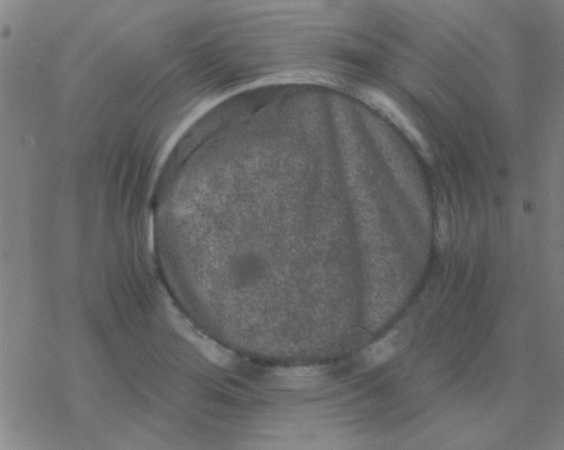 X0000076451276200610271815