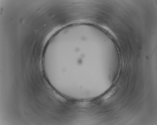 X0000076451278200610271815