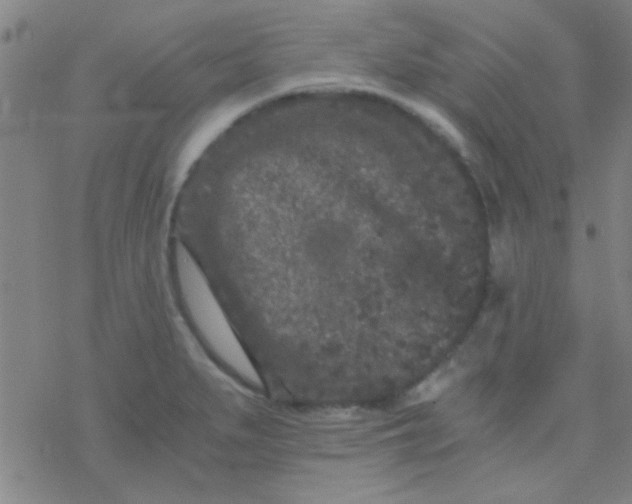 X0000076451279200610271815