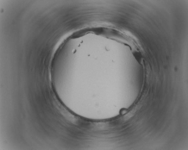 X0000076451280200610271815