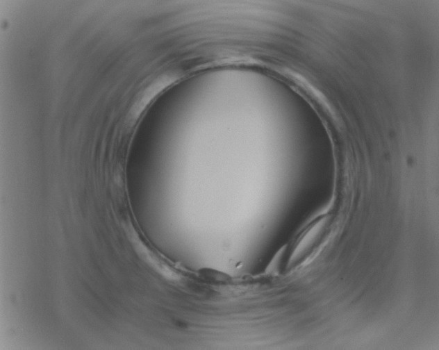 X0000076451281200610271815