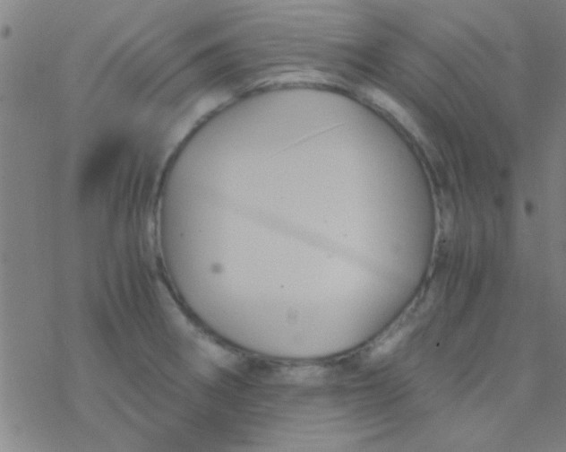 X0000076451282200610271815