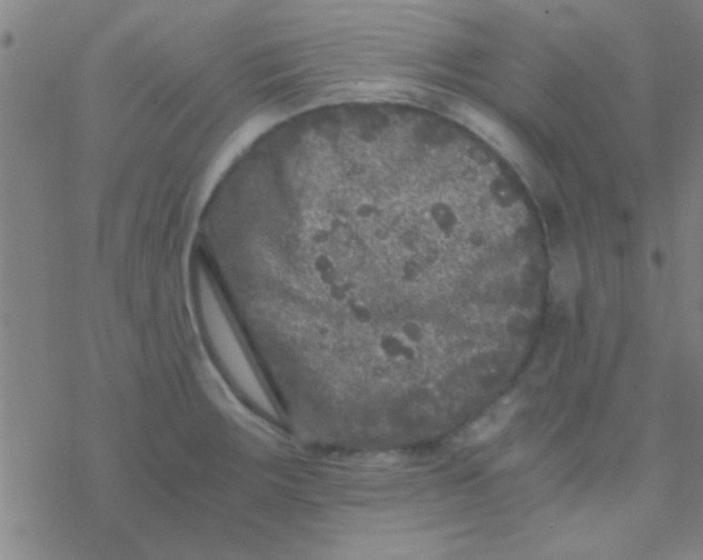 X0000076451283200610271815