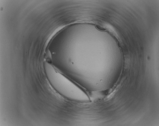 X0000076451284200610271815