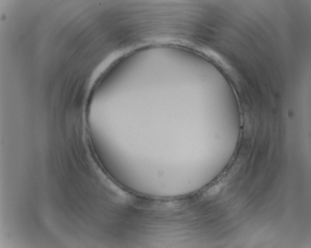 X0000076451286200610271814