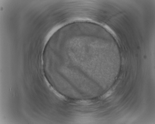 X0000076451287200610271814