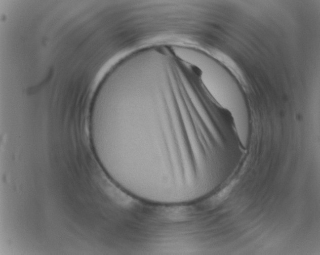 X0000076451288200610271814