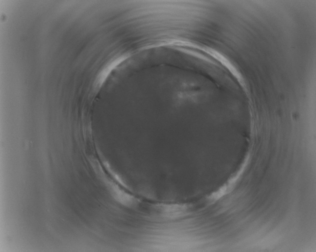 X0000076451289200610271814