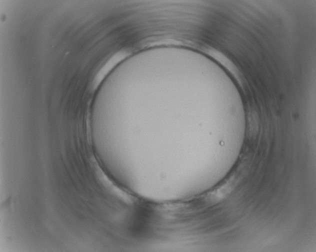 X0000076451290200610271814